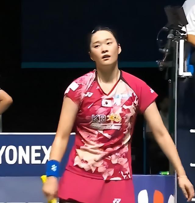 略提供了有 略提供了有