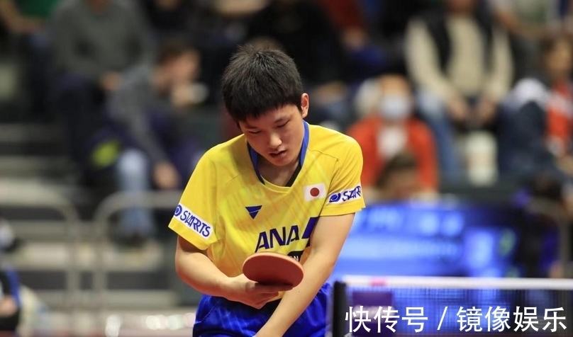 极大关注 极大关注